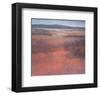 New Mexico Red-Jeannie Sellmer-Framed Art Print