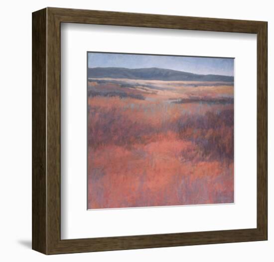 New Mexico Red-Jeannie Sellmer-Framed Art Print