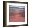 New Mexico Red-Jeannie Sellmer-Framed Art Print