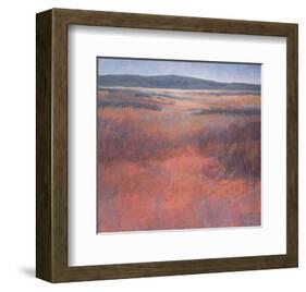 New Mexico Red-Jeannie Sellmer-Framed Art Print