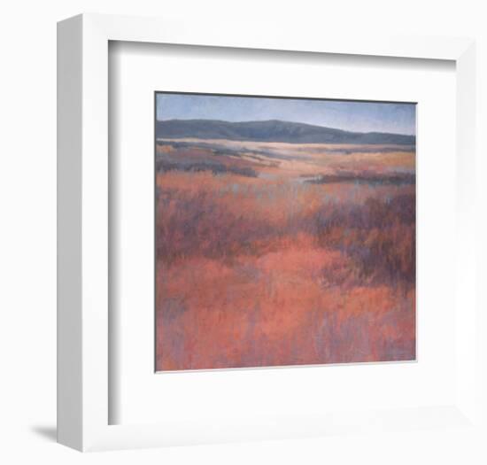 New Mexico Red-Jeannie Sellmer-Framed Art Print