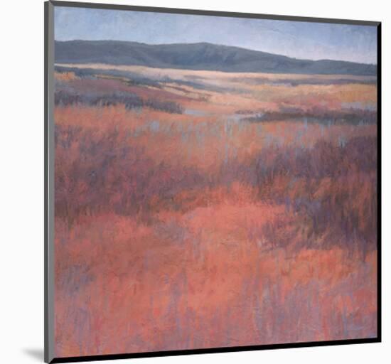 New Mexico Red-Jeannie Sellmer-Mounted Art Print