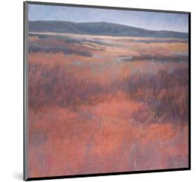 New Mexico Red-Jeannie Sellmer-Mounted Art Print