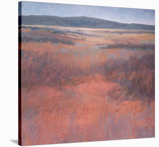 New Mexico Red-Jeannie Sellmer-Stretched Canvas