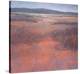 New Mexico Red-Jeannie Sellmer-Stretched Canvas