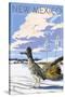 New Mexico - Roadrunner Scene-Lantern Press-Stretched Canvas