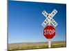 New Mexico, Route 66, Near Montoya, Railroad Crossing and Sign, USA-Alan Copson-Mounted Photographic Print