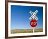 New Mexico, Route 66, Near Montoya, Railroad Crossing and Sign, USA-Alan Copson-Framed Photographic Print