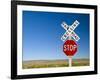 New Mexico, Route 66, Near Montoya, Railroad Crossing and Sign, USA-Alan Copson-Framed Photographic Print