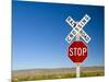 New Mexico, Route 66, Near Montoya, Railroad Crossing and Sign, USA-Alan Copson-Mounted Photographic Print