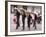 New Mexico, Santa Fe. Hispanic Folkloric Dance Group, Bandstand 2014-Luc Novovitch-Framed Photographic Print