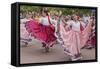 New Mexico, Santa Fe. Hispanic Folkloric Dance Group, Bandstand 2014-Luc Novovitch-Framed Stretched Canvas