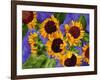 New Mexico Sunflowers-Mary Russel-Framed Giclee Print