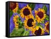 New Mexico Sunflowers-Mary Russel-Framed Stretched Canvas