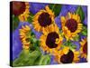 New Mexico Sunflowers-Mary Russel-Stretched Canvas