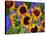 New Mexico Sunflowers-Mary Russel-Stretched Canvas