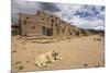 New Mexico. Taos Pueblo, Architecture Style from Pre Hispanic Americas-Luc Novovitch-Mounted Premium Photographic Print