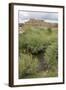 New Mexico. Taos Pueblo, Architecture Style from Pre Hispanic Americas-Luc Novovitch-Framed Photographic Print