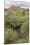 New Mexico. Taos Pueblo, Architecture Style from Pre Hispanic Americas-Luc Novovitch-Mounted Photographic Print