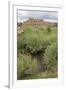 New Mexico. Taos Pueblo, Architecture Style from Pre Hispanic Americas-Luc Novovitch-Framed Photographic Print