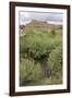 New Mexico. Taos Pueblo, Architecture Style from Pre Hispanic Americas-Luc Novovitch-Framed Photographic Print