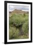 New Mexico. Taos Pueblo, Architecture Style from Pre Hispanic Americas-Luc Novovitch-Framed Photographic Print