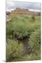 New Mexico. Taos Pueblo, Architecture Style from Pre Hispanic Americas-Luc Novovitch-Mounted Premium Photographic Print