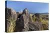 New Mexico, Three Rivers Petroglyph Site. Petroglyph on Rocks-Don Paulson-Stretched Canvas