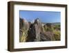 New Mexico, Three Rivers Petroglyph Site. Petroglyph on Rocks-Don Paulson-Framed Photographic Print