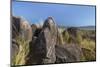 New Mexico, Three Rivers Petroglyph Site. Petroglyph on Rocks-Don Paulson-Mounted Photographic Print