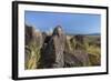 New Mexico, Three Rivers Petroglyph Site. Petroglyph on Rocks-Don Paulson-Framed Photographic Print