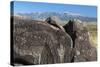 New Mexico, Three Rivers Petroglyph Site. Petroglyph on Rocks-Don Paulson-Stretched Canvas