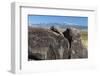 New Mexico, Three Rivers Petroglyph Site. Petroglyph on Rocks-Don Paulson-Framed Photographic Print