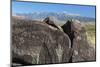 New Mexico, Three Rivers Petroglyph Site. Petroglyph on Rocks-Don Paulson-Mounted Photographic Print