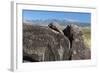 New Mexico, Three Rivers Petroglyph Site. Petroglyph on Rocks-Don Paulson-Framed Photographic Print