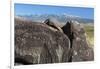 New Mexico, Three Rivers Petroglyph Site. Petroglyph on Rocks-Don Paulson-Framed Photographic Print