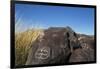 New Mexico, Three Rivers Petroglyph Site. Petroglyph on Rocks-Don Paulson-Framed Photographic Print