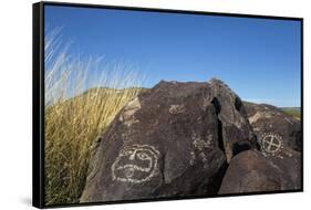 New Mexico, Three Rivers Petroglyph Site. Petroglyph on Rocks-Don Paulson-Framed Stretched Canvas