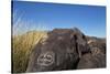 New Mexico, Three Rivers Petroglyph Site. Petroglyph on Rocks-Don Paulson-Stretched Canvas
