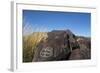 New Mexico, Three Rivers Petroglyph Site. Petroglyph on Rocks-Don Paulson-Framed Photographic Print