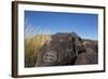 New Mexico, Three Rivers Petroglyph Site. Petroglyph on Rocks-Don Paulson-Framed Photographic Print