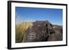 New Mexico, Three Rivers Petroglyph Site. Petroglyph on Rocks-Don Paulson-Framed Photographic Print