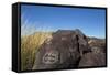 New Mexico, Three Rivers Petroglyph Site. Petroglyph on Rocks-Don Paulson-Framed Stretched Canvas