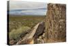 New Mexico, Three Rivers Petroglyphs National Historic Site. Petroglyphs on Boulder-Jaynes Gallery-Stretched Canvas