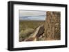 New Mexico, Three Rivers Petroglyphs National Historic Site. Petroglyphs on Boulder-Jaynes Gallery-Framed Photographic Print