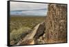 New Mexico, Three Rivers Petroglyphs National Historic Site. Petroglyphs on Boulder-Jaynes Gallery-Framed Stretched Canvas