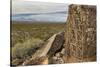 New Mexico, Three Rivers Petroglyphs National Historic Site. Petroglyphs on Boulder-Jaynes Gallery-Stretched Canvas