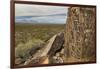 New Mexico, Three Rivers Petroglyphs National Historic Site. Petroglyphs on Boulder-Jaynes Gallery-Framed Photographic Print
