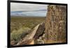 New Mexico, Three Rivers Petroglyphs National Historic Site. Petroglyphs on Boulder-Jaynes Gallery-Framed Photographic Print