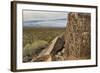 New Mexico, Three Rivers Petroglyphs National Historic Site. Petroglyphs on Boulder-Jaynes Gallery-Framed Photographic Print